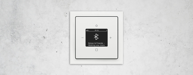 Busch-Radio Btconnect bei Antel Elektrotechnik GmbH in Freystadt