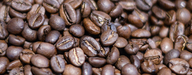 Kaffee­maschinen bei Antel Elektrotechnik GmbH in Freystadt